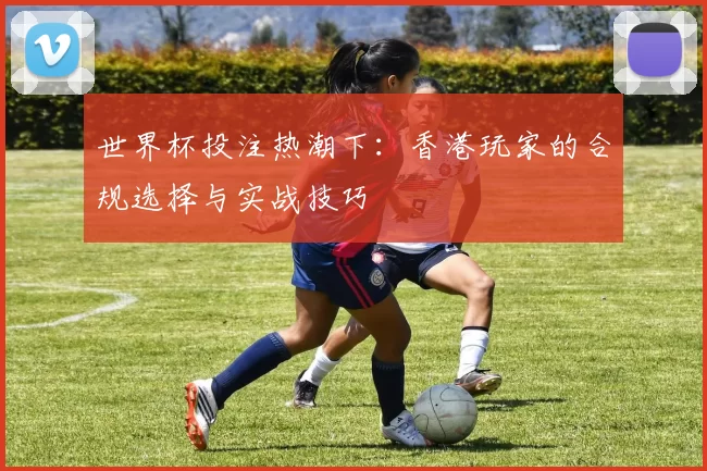 世界杯投注热潮下：香港玩家的合规选择与实战技巧