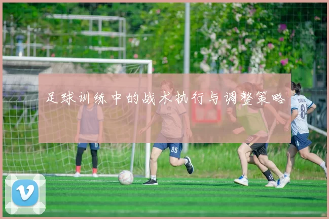 足球训练中的战术执行与调整策略