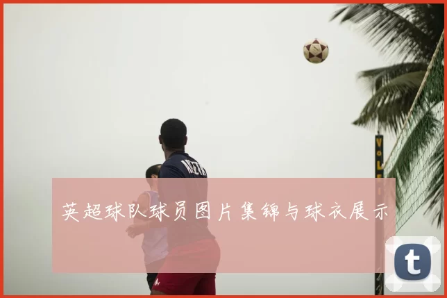 英超球队球员图片集锦与球衣展示