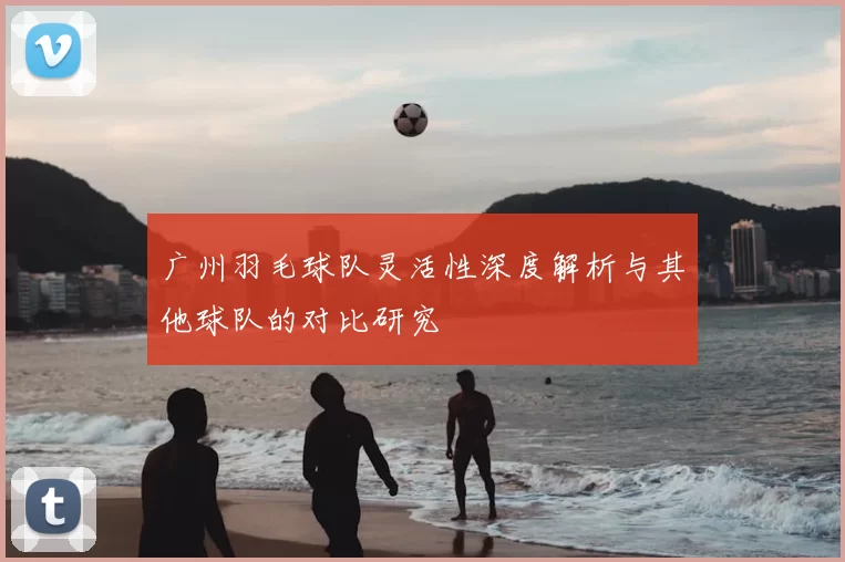 广州羽毛球队灵活性深度解析与其他球队的对比研究