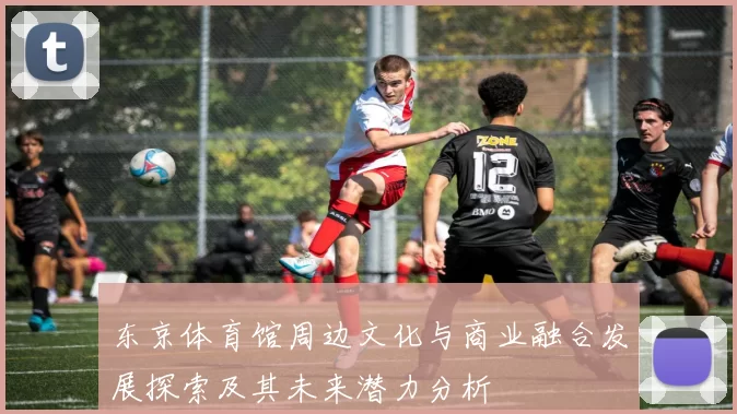 东京体育馆周边文化与商业融合发展探索及其未来潜力分析