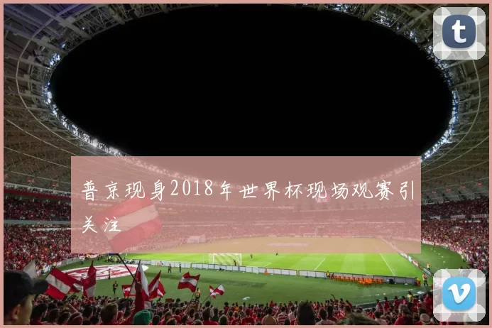 普京现身2018年世界杯现场观赛引关注