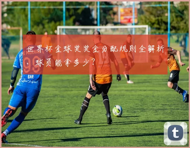 世界杯金球奖奖金分配规则全解析,球员能拿多少?