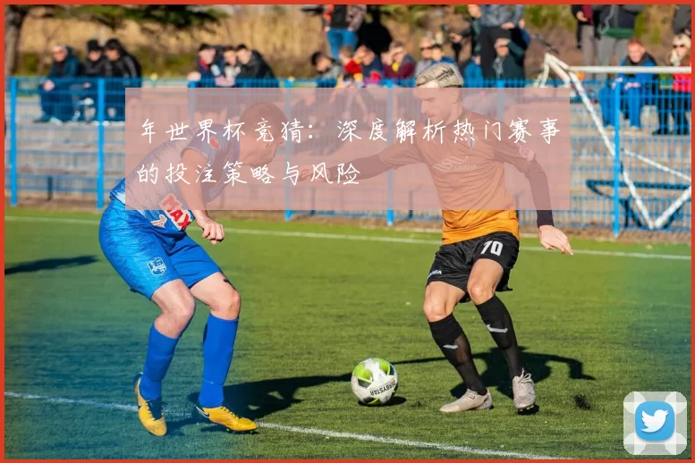 年世界杯竞猜：深度解析热门赛事的投注策略与风险