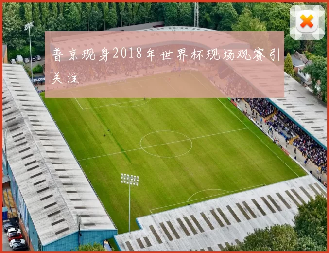 普京现身2018年世界杯现场观赛引关注
