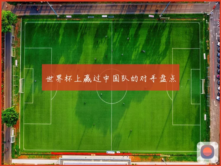 世界杯上赢过中国队的对手盘点