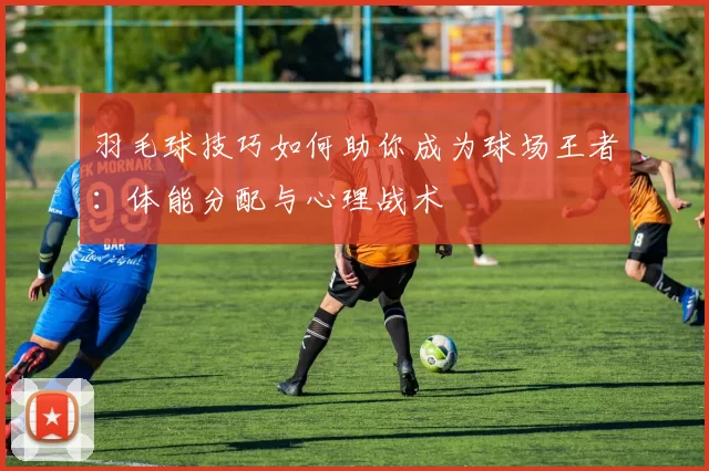 羽毛球技巧如何助你成为球场王者:体能分配与心理战术