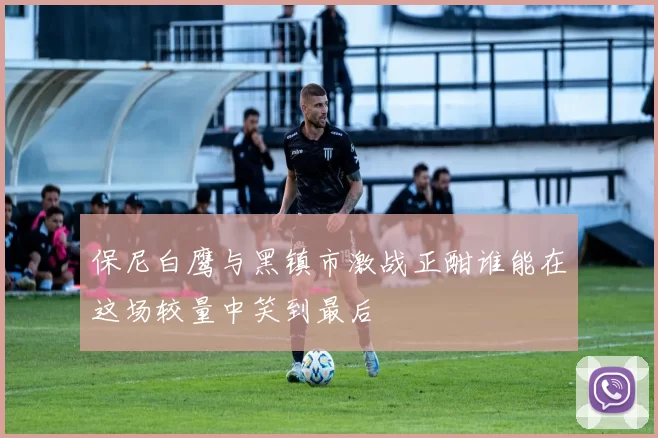 保尼白鹰与黑镇市激战正酣谁能在这场较量中笑到最后
