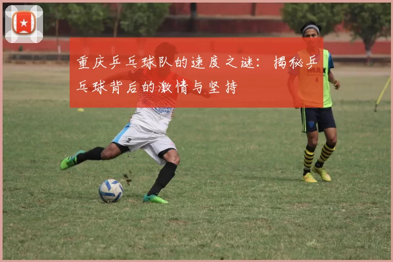重庆乒乓球队的速度之谜：揭秘乒乓球背后的激情与坚持