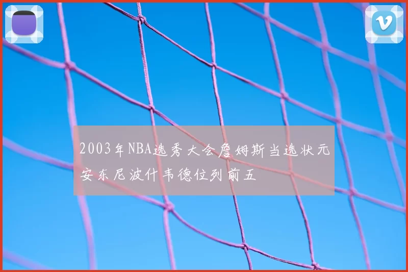 2003年NBA选秀大会詹姆斯当选状元安东尼波什韦德位列前五