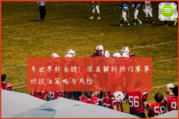 年世界杯竞猜：深度解析热门赛事的投注策略与风险