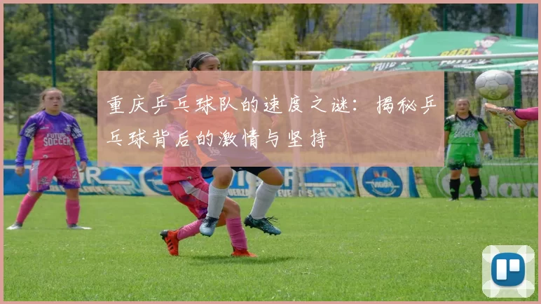 重庆乒乓球队的速度之谜：揭秘乒乓球背后的激情与坚持