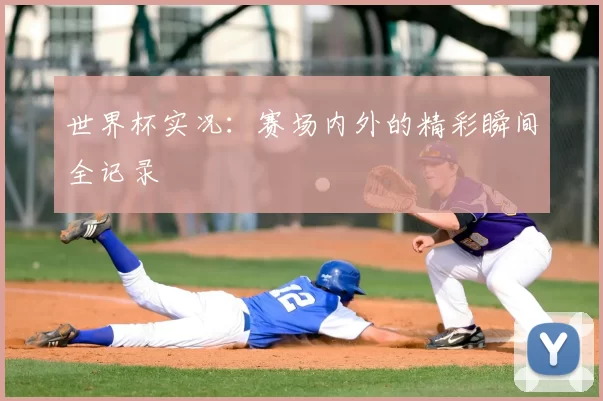 世界杯实况：赛场内外的精彩瞬间全记录